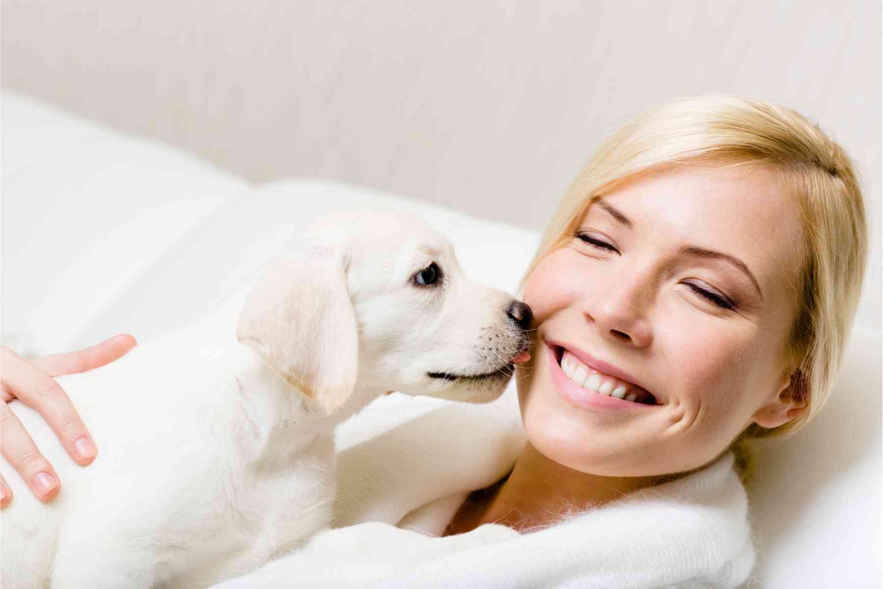 Puppy licking beautiful blonde woman's face