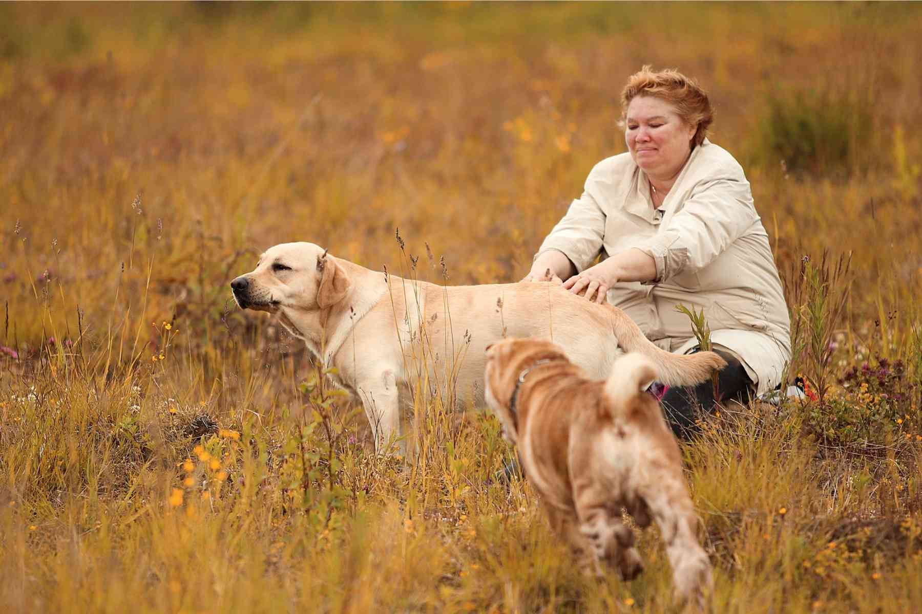 Fat lady giving her labrador retriever a butt scratch