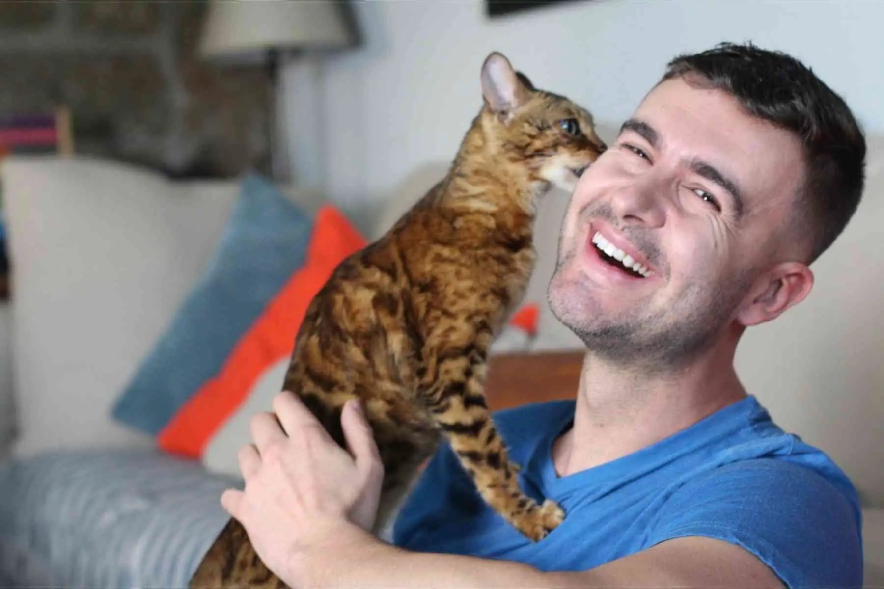 Cat licking male owner's ear