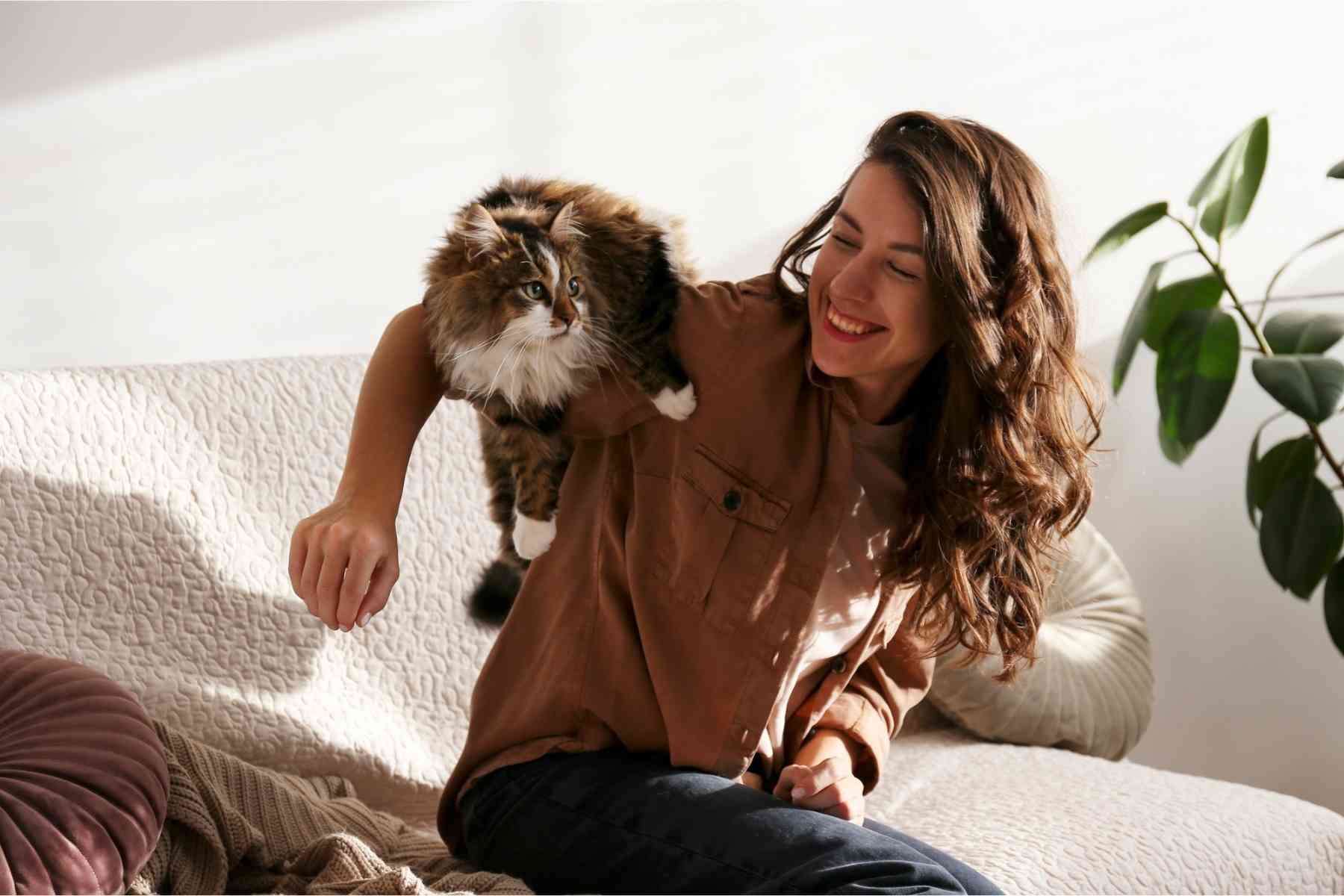 Furry cat trying to nuzzle happy woman's armpit