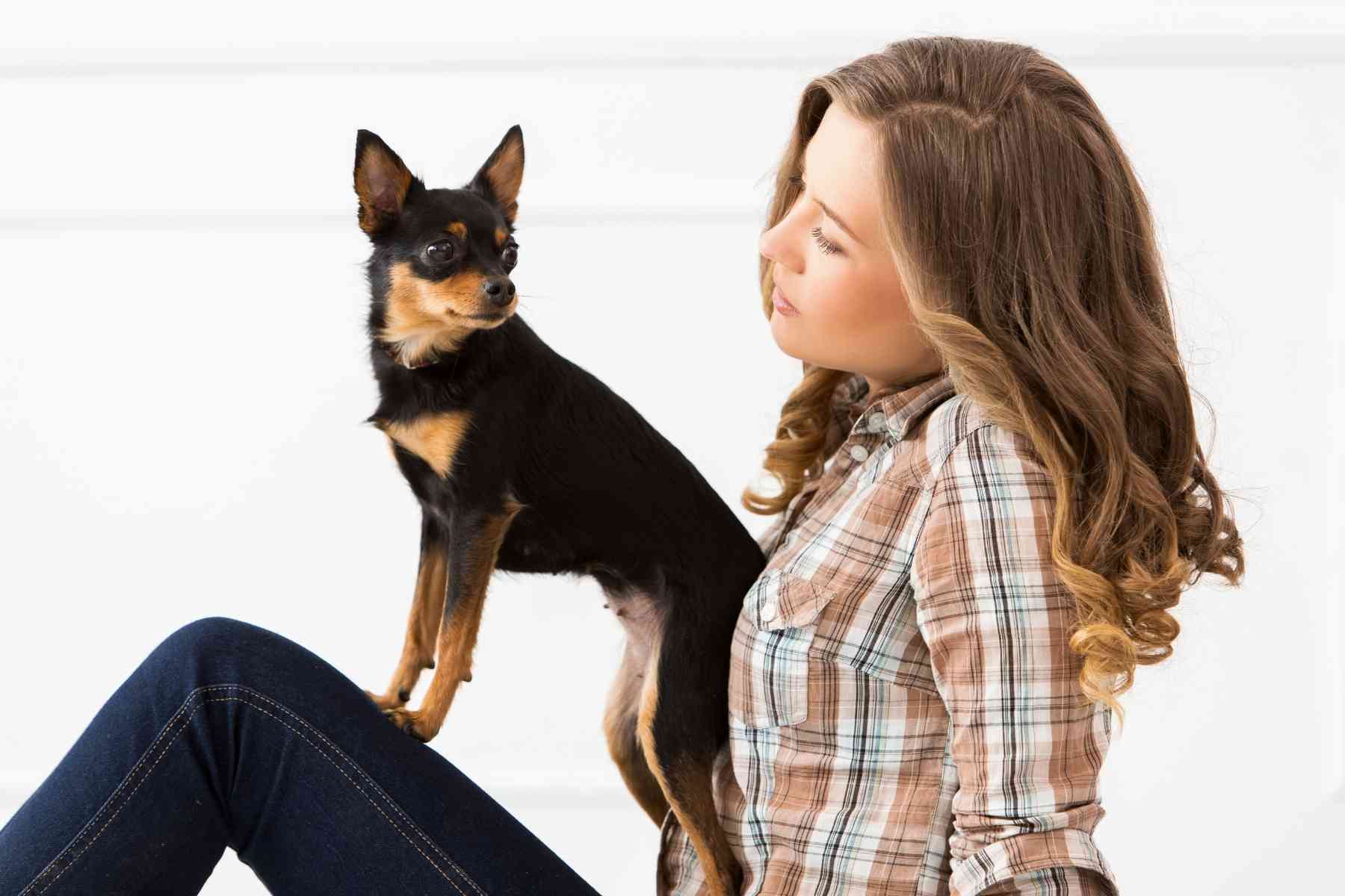 Small dog leaning against female owner with his backside