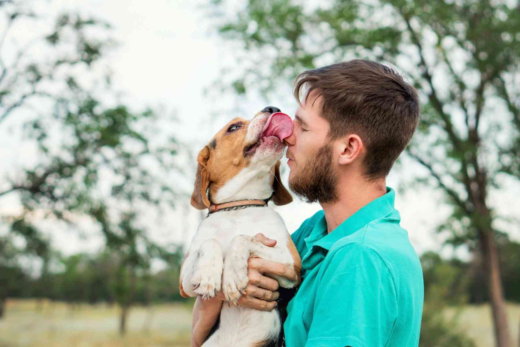 Dog licking man's nose