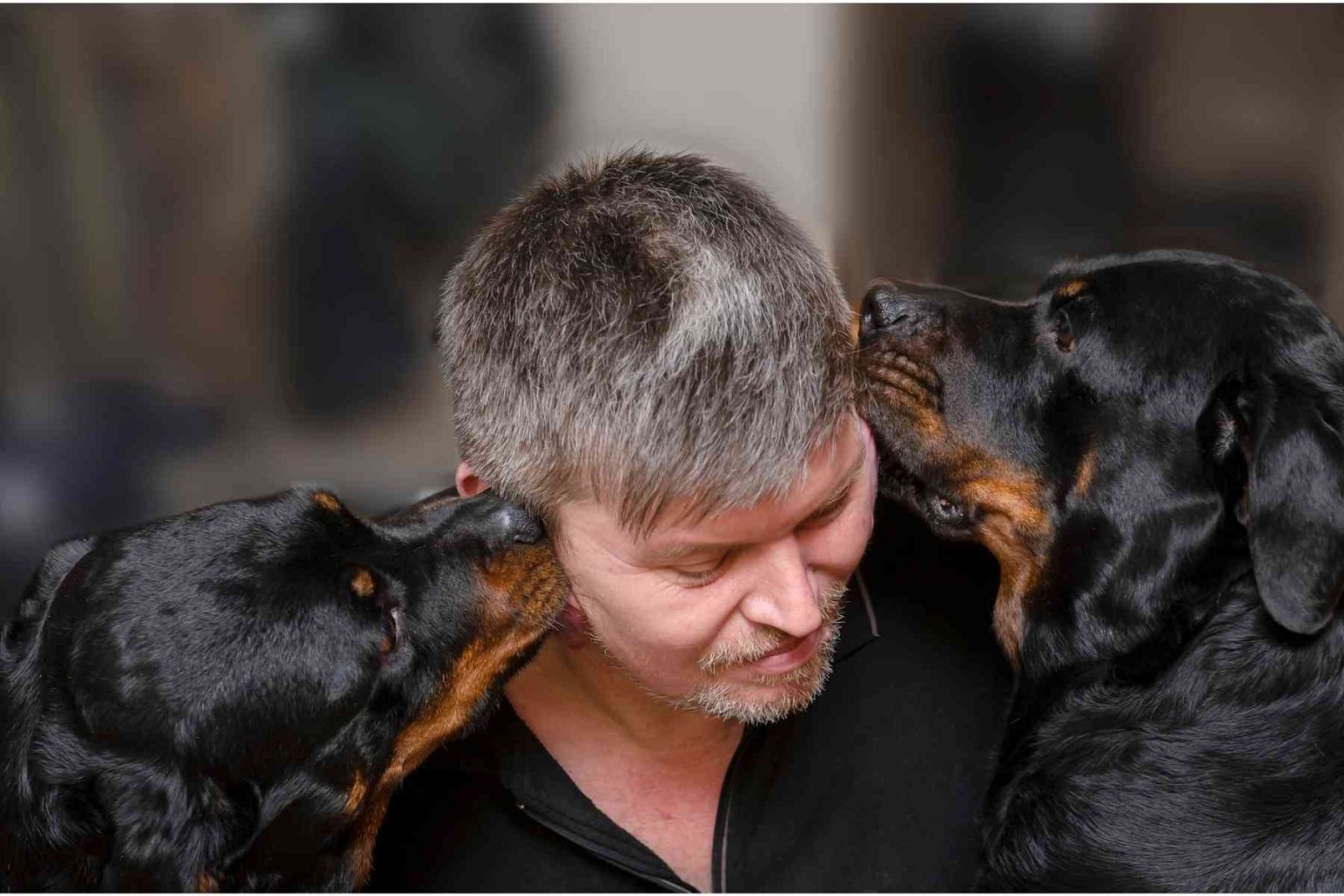 Why Does My Dog Nibble My Ear?