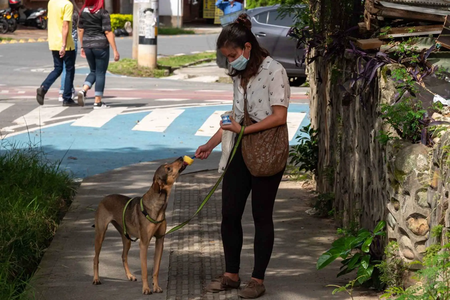 Woman feeding mango to her dog