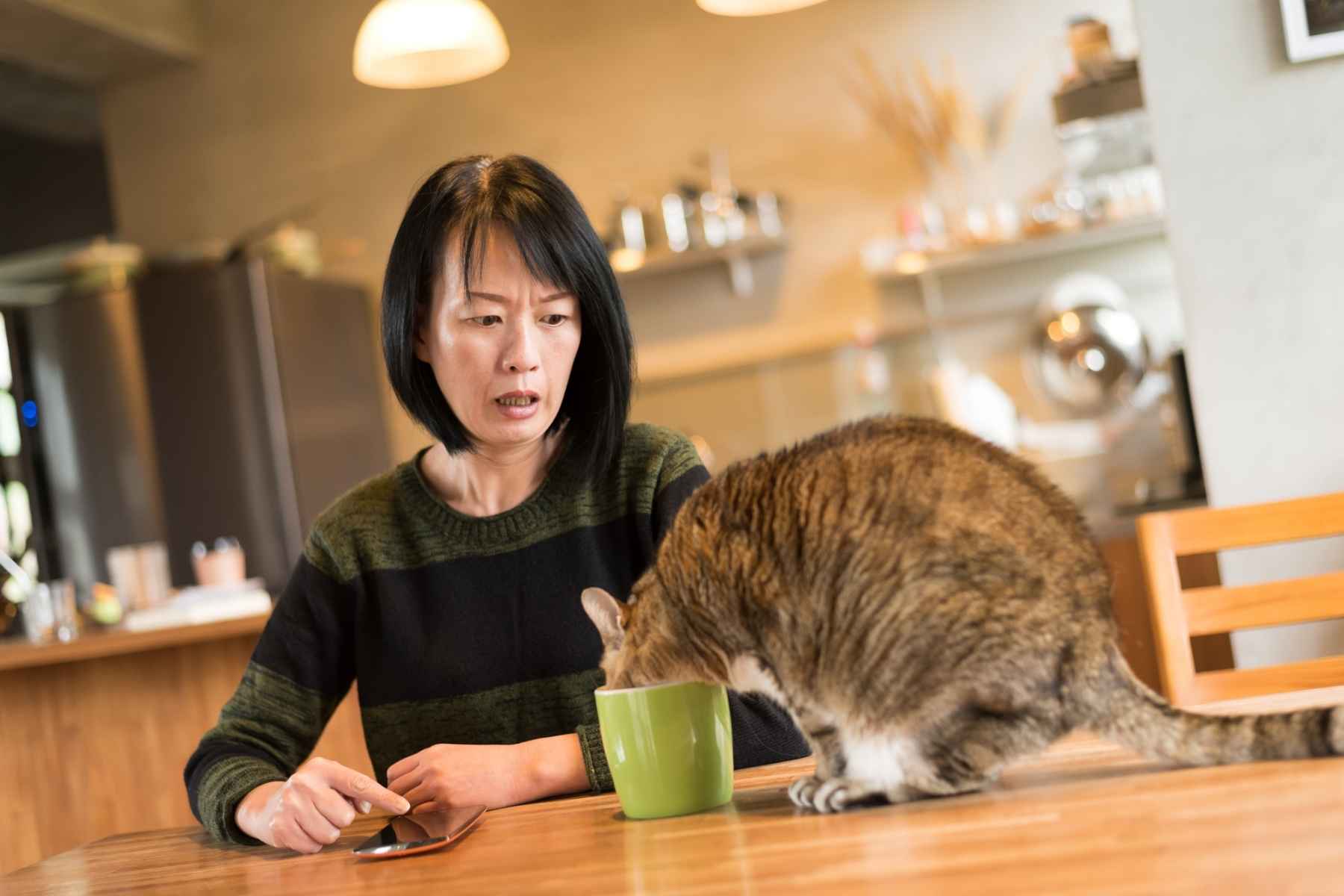 Woman looking disgusted when her cat drinks out of her cup