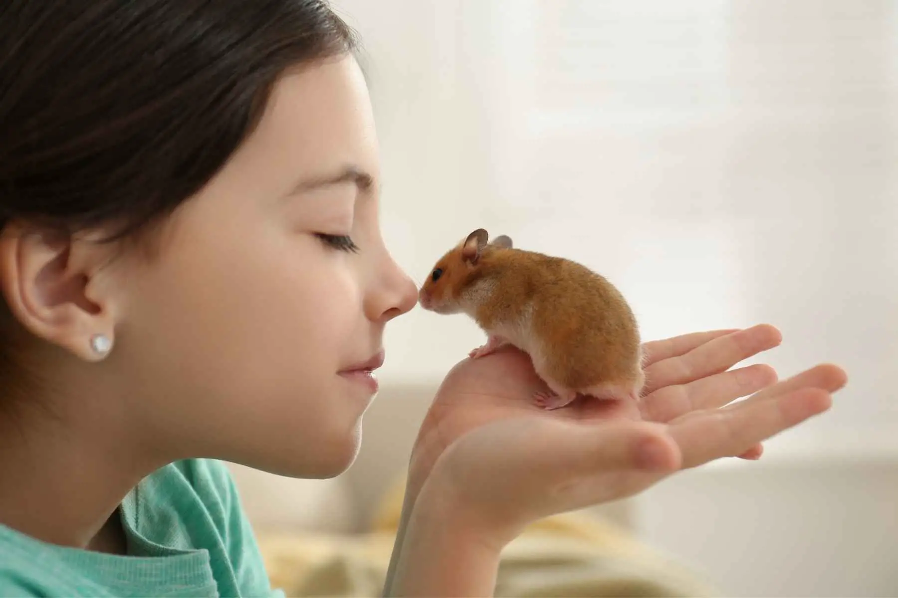 Girl holding a hamster in her hand and sniffing on it