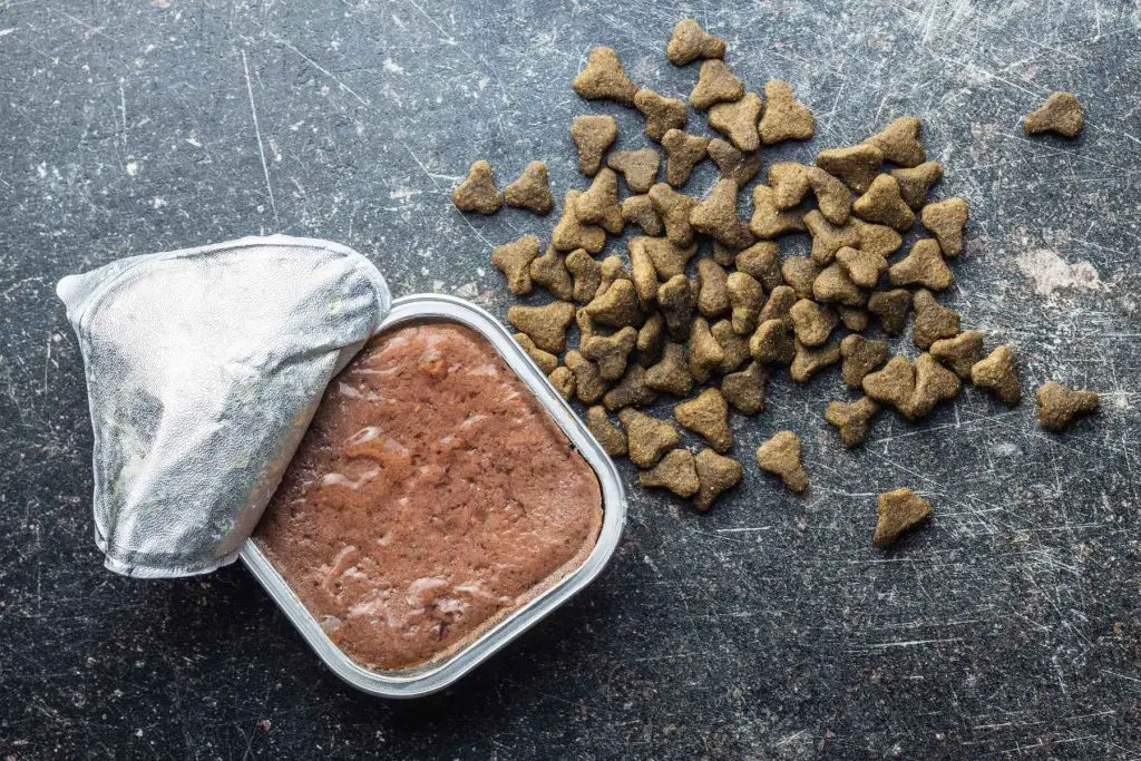 What is Pate Dog Food? - Crittertips.com