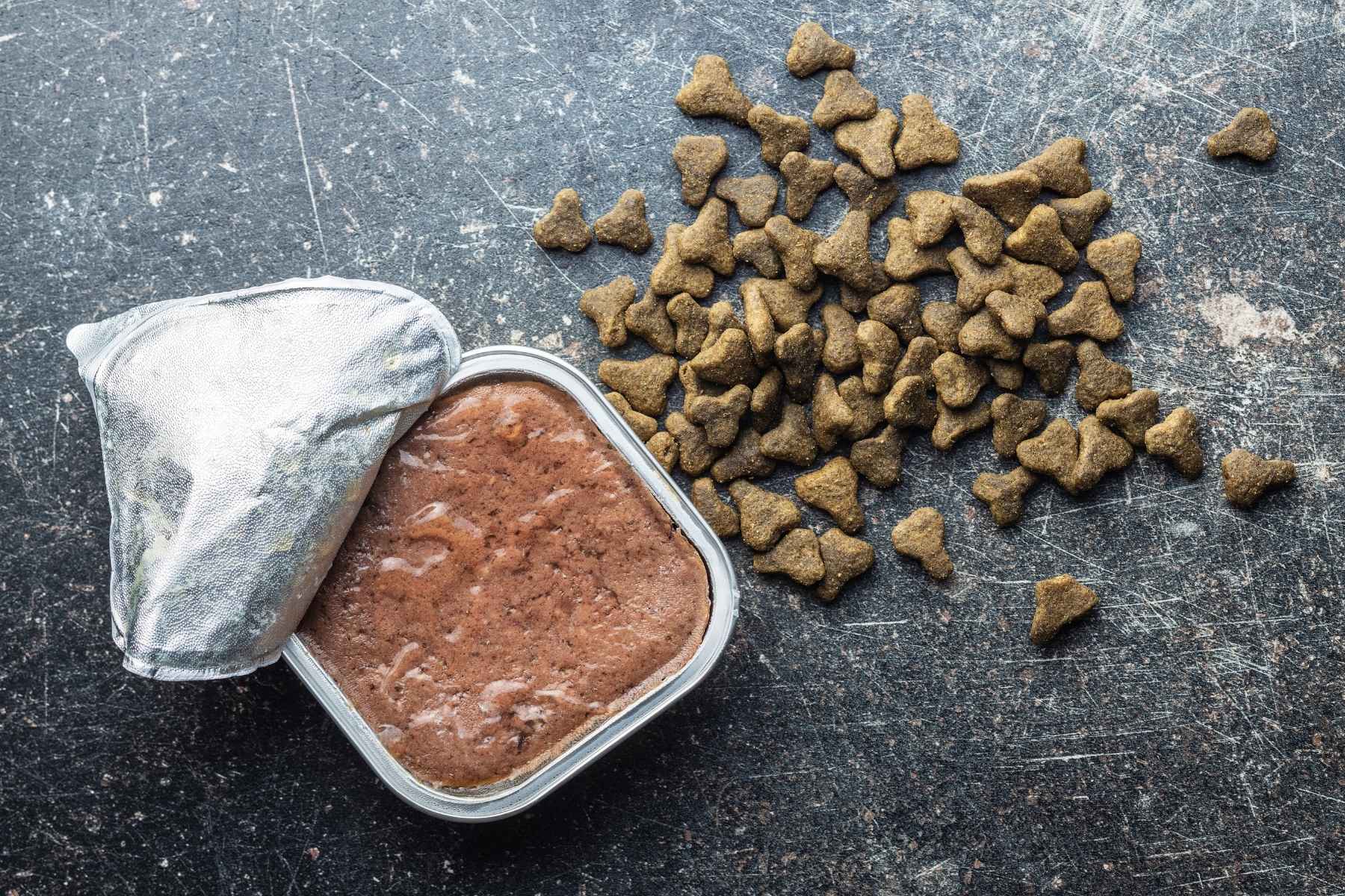 pate dog food and kibble