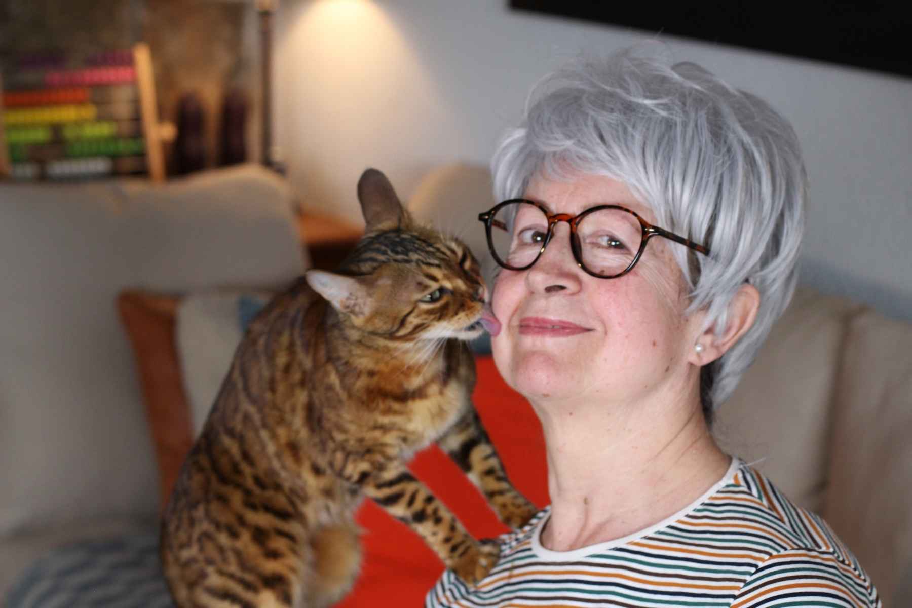 Cat licking owner's face