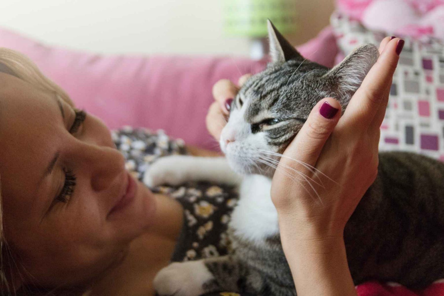 Why Does My Cat Only Cuddle at Night?