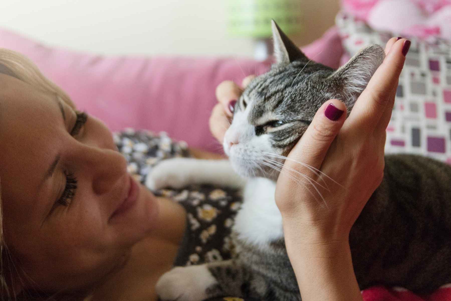 Cat cuddling at night with its owner